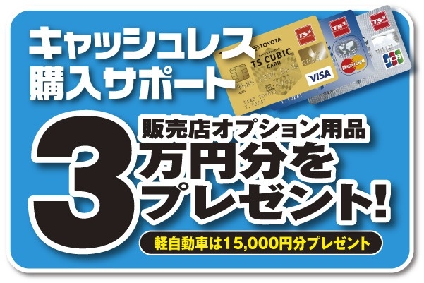 キャッシュレス購入サポート 販売店オプション用品3万円分をプレゼント