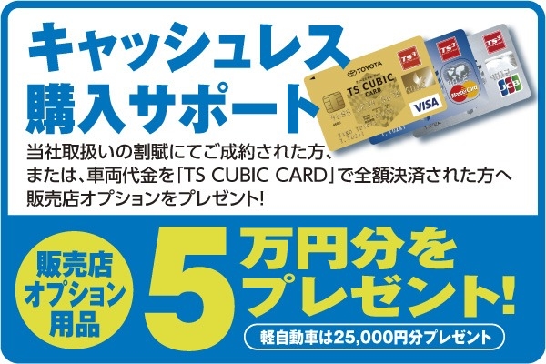 キャッシュレス購入サポート!販売店オプション用品5万円分プレゼント