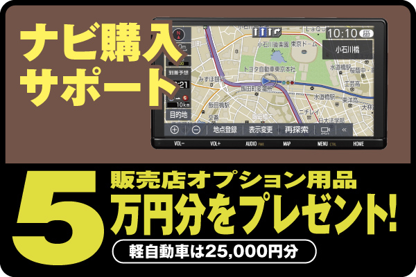 ナビ購入の場合は5万円分のオプションをプレゼント