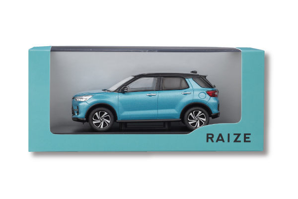 2019-11_raize_04
