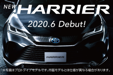 ハリアーDEBUTスライダー