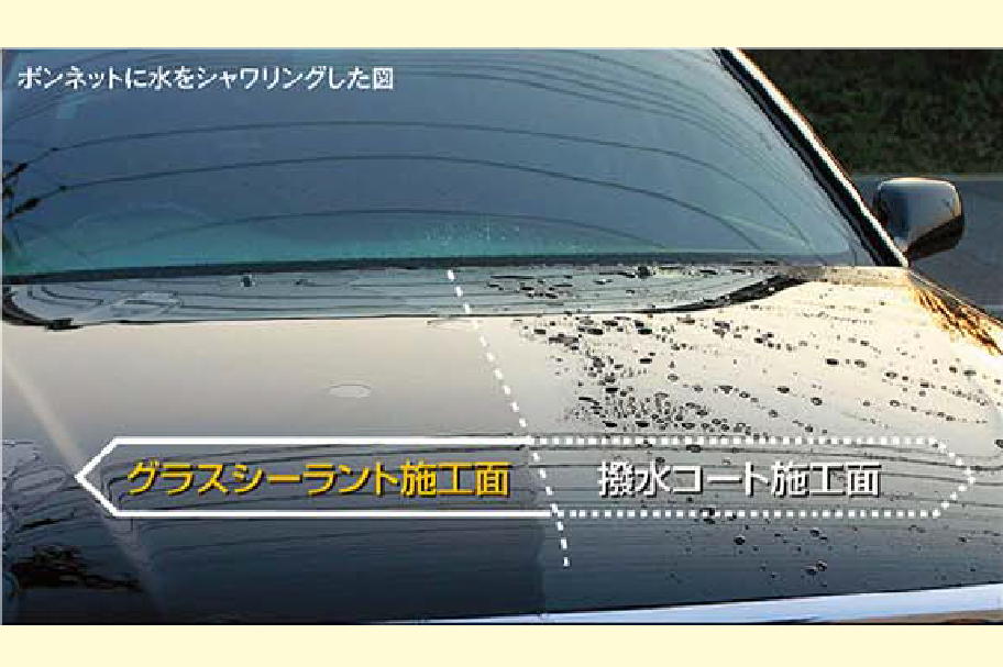 QMIグラスシーラント施行例