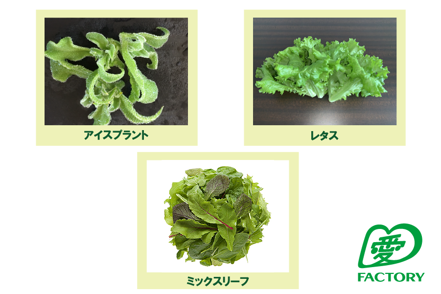 試乗査定見積りプレゼント