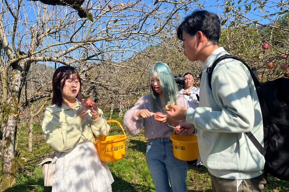 ト・ト・トりっぷ 第2弾_1八東フルーツ観光園③